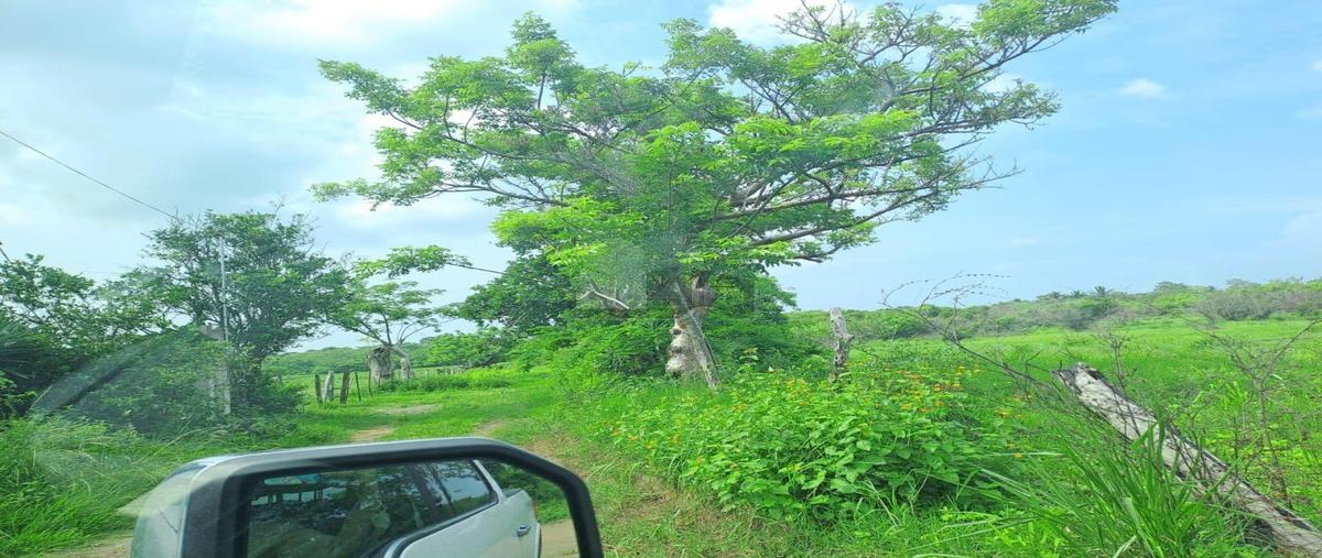 Foto de terreno comercial en venta en kilometro 3, la víbora (la reforma), tlalixcoyan, veracruz de ignacio de la llave, 30128755 No. 03