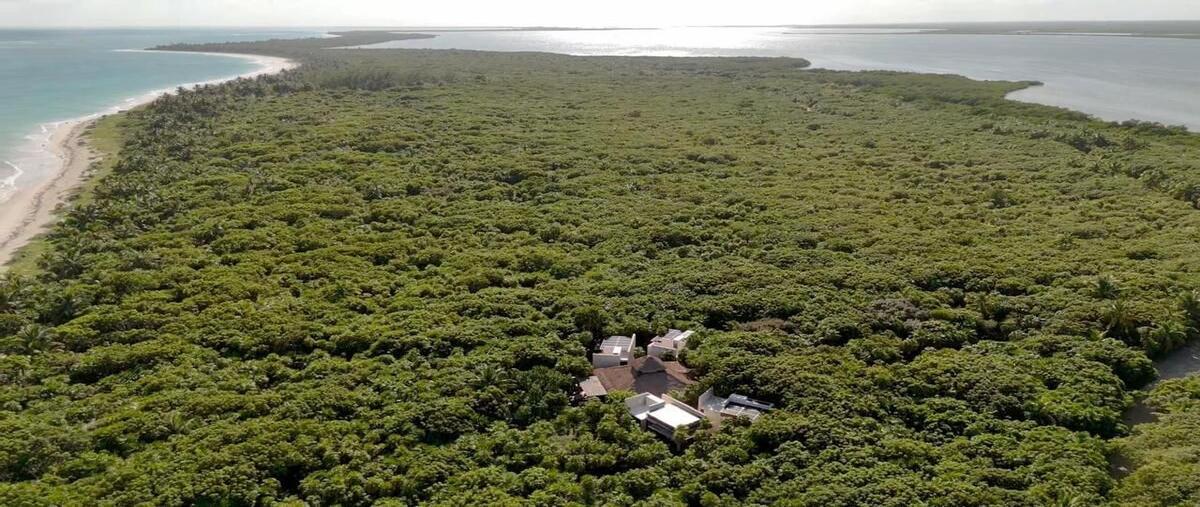 Foto de rancho en venta en kilometro 31 , aldea tulum, tulum, quintana roo, 30203275 No. 01