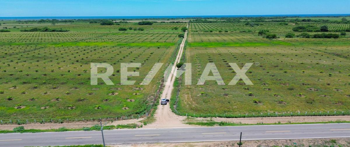 Foto de terreno comercial en venta en kilometro 33 cristo rey "teacapan" , cristo rey, escuinapa, sinaloa, 28575864 No. 04