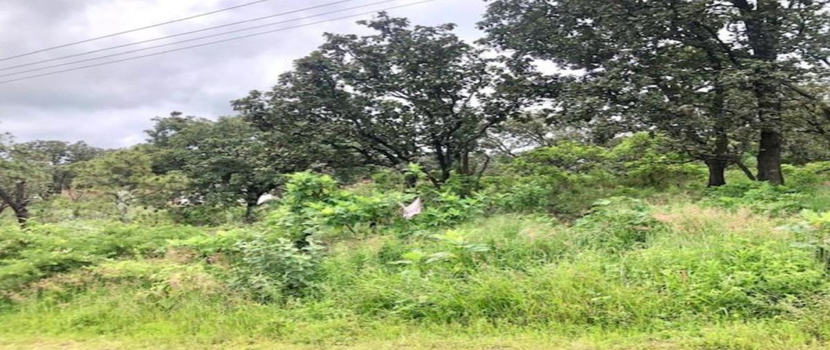 Foto de terreno habitacional en venta en kilómetro 3.5 atalla ameca , el arenal, el arenal, jalisco, 0 No. 04