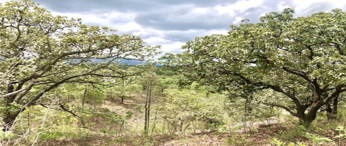 Foto de terreno habitacional en venta en kilómetro 3.5 atalla ameca , el arenal, el arenal, jalisco, 0 No. 05