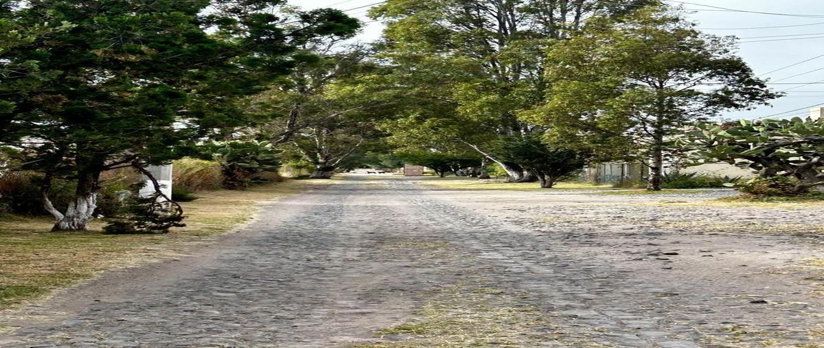 Foto de terreno habitacional en venta en kilometro 3.5 , zirándaro, san miguel de allende, guanajuato, 0 No. 04