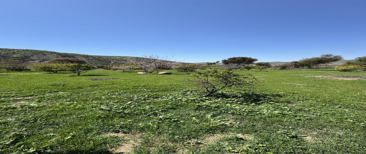 Foto de rancho en venta en kilometro 38 , el morro, playas de rosarito, baja california, 29918634 No. 05