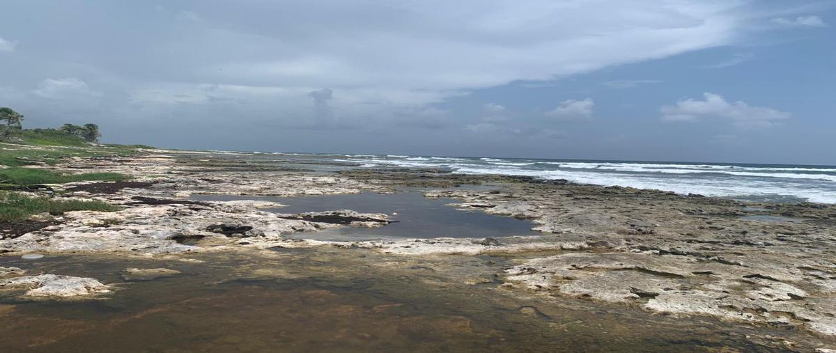 Foto de terreno habitacional en venta en kilometro 38 , mahahual, othón p. blanco, quintana roo, 1927987 No. 02