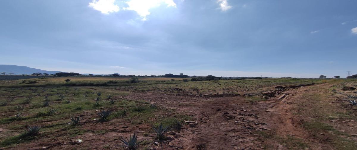 Foto de terreno habitacional en venta en kilometro 38.5 , amatitan, amatitán, jalisco, 24091723 No. 04