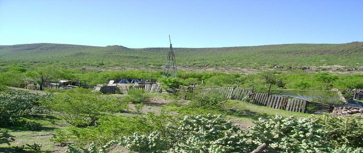 Foto de rancho en venta en kilometro 39 , centro, mulegé, baja california sur, 0 No. 03