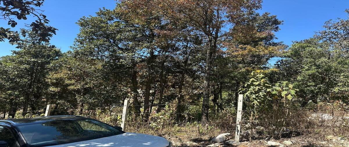 Foto de terreno habitacional en venta en kilometro 3san josé buenavista , san josé buenavista, san cristóbal de las casas, chiapas, 0 No. 04