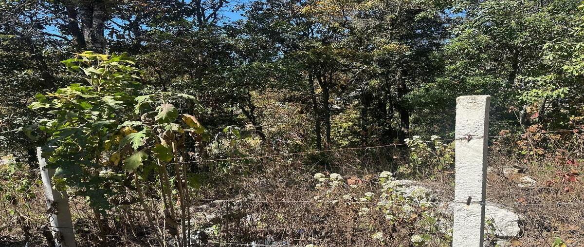 Foto de terreno habitacional en venta en kilometro 3san josé buenavista , san josé buenavista, san cristóbal de las casas, chiapas, 0 No. 05