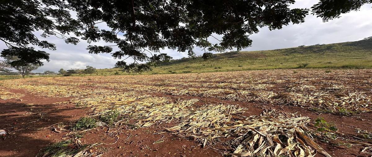 Foto de terreno habitacional en kilometro 40 , los olivos de tlaquepaque, san pedro tlaquepaque, jalisco, 30693083 foto 03 Foto de terreno habitacional en venta en kilometro 40 , los olivos de tlaquepaque, san pedro tlaquepaque, jalisco, 30693083 No. 03