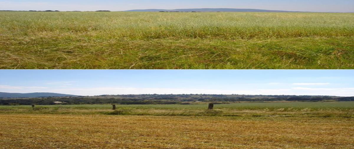 Foto de rancho en venta en kilometro 40.5 carretera federal amealco qro a coroneo gto , amealco de bonfil centro, amealco de bonfil, querétaro, 15189561 No. 04