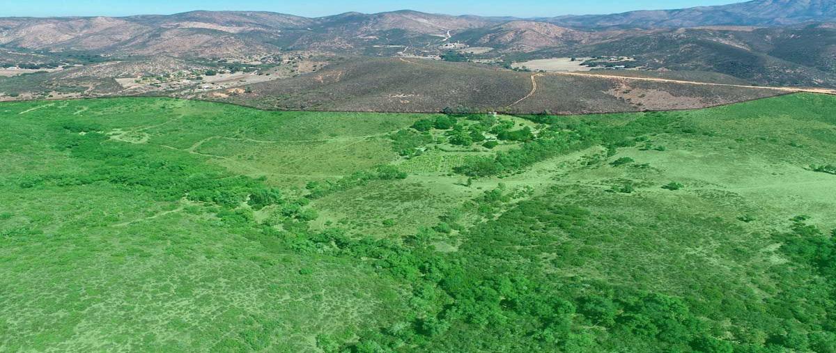 Foto de rancho en venta en kilometro 41.5 , cantamar, playas de rosarito, baja california, 28432598 No. 05