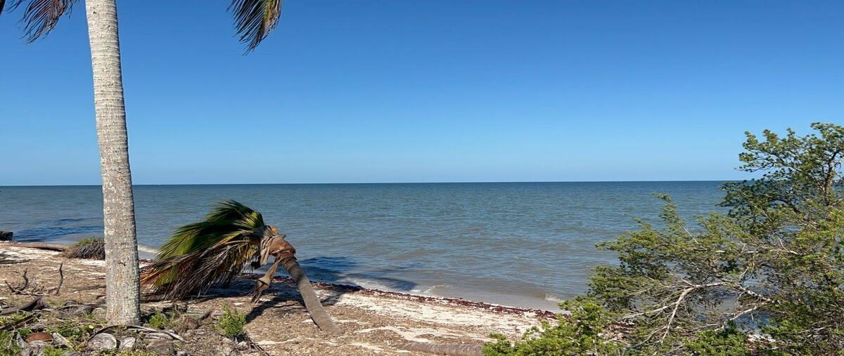 Foto de terreno habitacional en venta en kilometro 47 , telchac puerto, telchac puerto, yucatán, 29452674 No. 03