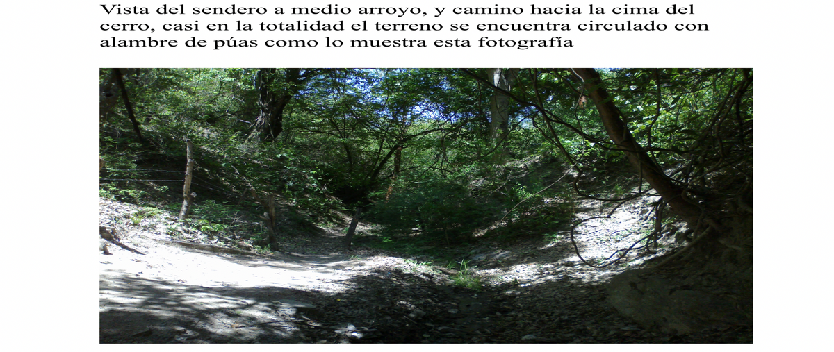 Foto de terreno habitacional en kilometro 48 carretera sjr-xilitla , conca, arroyo seco, querétaro, 19633648 foto 02 Foto de terreno habitacional en venta en kilometro 48 carretera sjr-xilitla , conca, arroyo seco, querétaro, 19633648 No. 02
