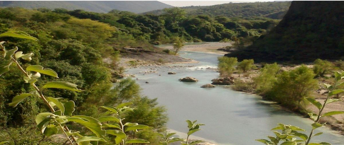 Foto de terreno habitacional en kilometro 48 carretera sjr-xilitla , conca, arroyo seco, querétaro, 19633648 foto 05 Foto de terreno habitacional en venta en kilometro 48 carretera sjr-xilitla , conca, arroyo seco, querétaro, 19633648 No. 05
