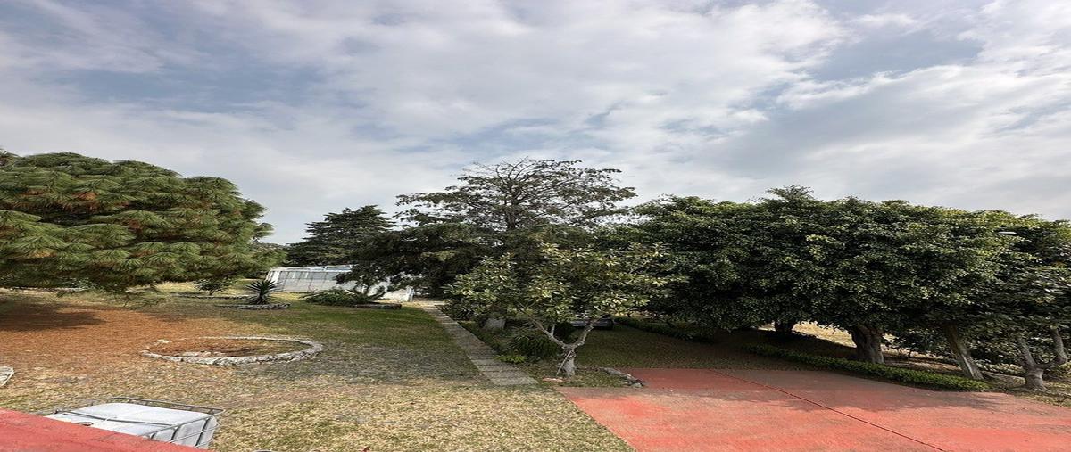 Foto de rancho en kilometro 48.2 carretera federal mexico-cuautla , nepantla de sor juana inés, tepetlixpa, méxico, 30865085 foto 01 Foto de rancho en venta en kilometro 48.2 carretera federal mexico-cuautla , nepantla de sor juana inés, tepetlixpa, méxico, 30865085 No. 01