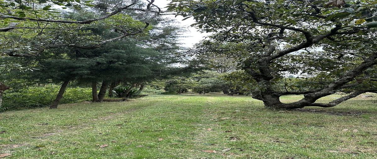 Foto de rancho en kilometro 48.2 carretera federal mexico-cuautla , nepantla de sor juana inés, tepetlixpa, méxico, 30865085 foto 02 Foto de rancho en venta en kilometro 48.2 carretera federal mexico-cuautla , nepantla de sor juana inés, tepetlixpa, méxico, 30865085 No. 02