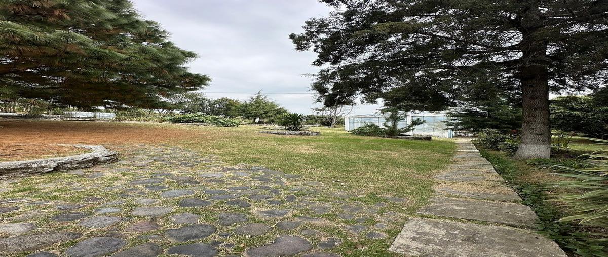 Foto de rancho en kilometro 48.2 carretera federal mexico-cuautla , nepantla de sor juana inés, tepetlixpa, méxico, 30865085 foto 03 Foto de rancho en venta en kilometro 48.2 carretera federal mexico-cuautla , nepantla de sor juana inés, tepetlixpa, méxico, 30865085 No. 03