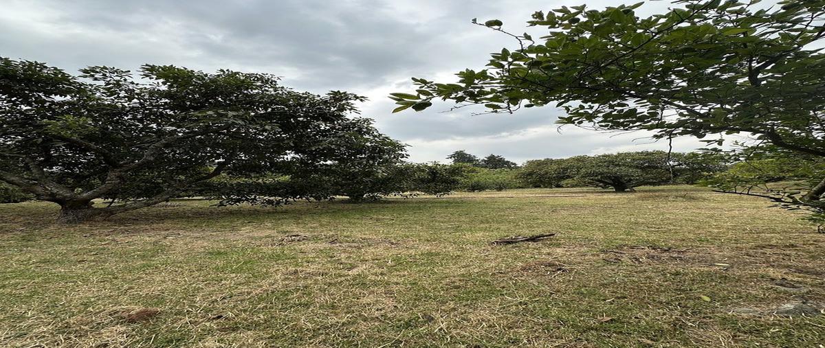 Foto de rancho en kilometro 48.2 carretera federal mexico-cuautla , nepantla de sor juana inés, tepetlixpa, méxico, 30865085 foto 05 Foto de rancho en venta en kilometro 48.2 carretera federal mexico-cuautla , nepantla de sor juana inés, tepetlixpa, méxico, 30865085 No. 05