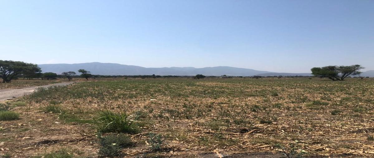 Foto de terreno habitacional en venta en kilometro 5 , la capilla del refugio, ixtlahuacán de los membrillos, jalisco, 28240529 No. 01