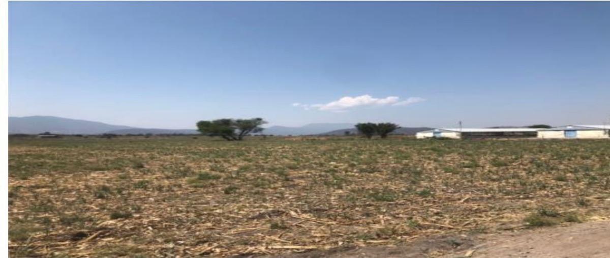 Foto de terreno habitacional en kilometro 5 , la capilla del refugio, ixtlahuacán de los membrillos, jalisco, 28240529 foto 02 Foto de terreno habitacional en venta en kilometro 5 , la capilla del refugio, ixtlahuacán de los membrillos, jalisco, 28240529 No. 02