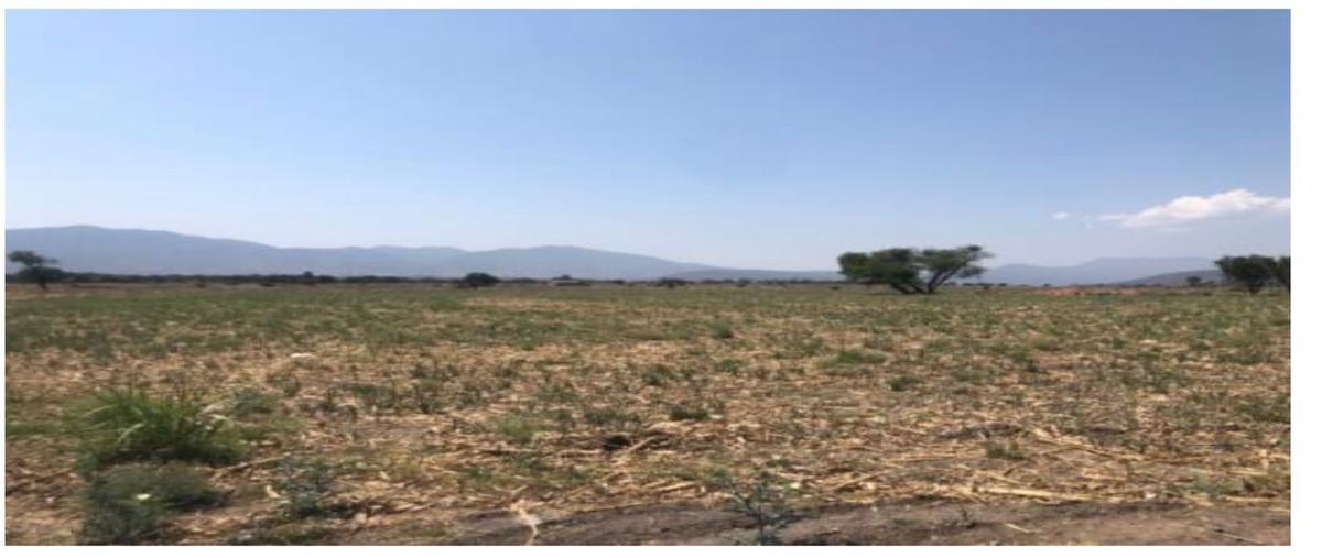 Foto de terreno habitacional en venta en kilometro 5 , la capilla del refugio, ixtlahuacán de los membrillos, jalisco, 28240529 No. 05
