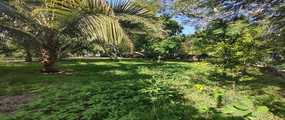 Foto de terreno habitacional en venta en  , kilómetro 5, othón p. blanco, quintana roo, 30132080 No. 03