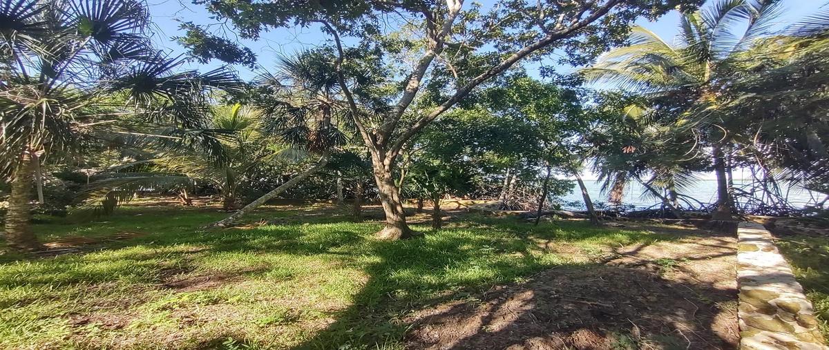 Foto de terreno habitacional en venta en  , kilómetro 5, othón p. blanco, quintana roo, 30132080 No. 04