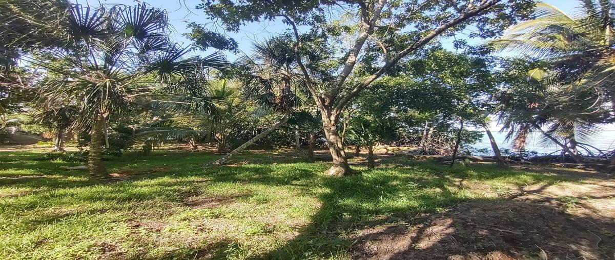 Foto de terreno habitacional en venta en  , kilómetro 5, othón p. blanco, quintana roo, 30132080 No. 05