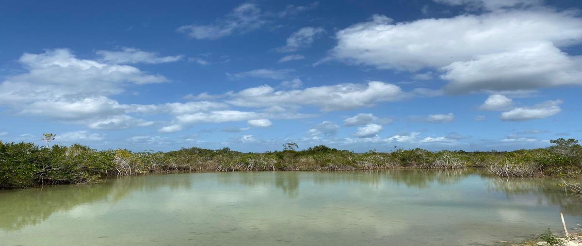 Foto de terreno habitacional en venta en  , kilómetro 5, othón p. blanco, quintana roo, 0 No. 04
