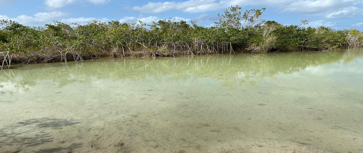 Foto de terreno habitacional en venta en  , kilómetro 5, othón p. blanco, quintana roo, 0 No. 05
