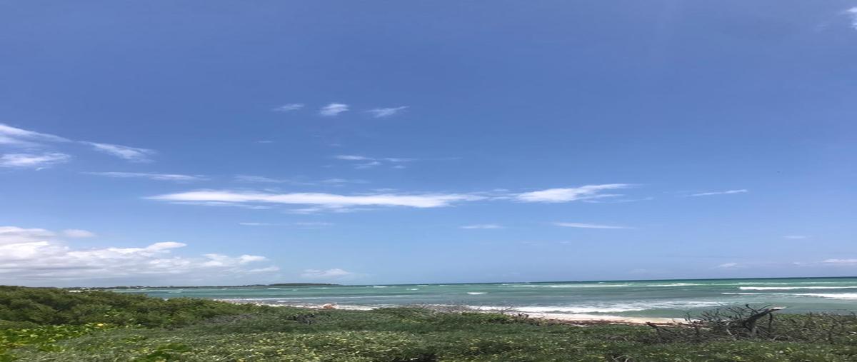 Foto de terreno habitacional en , kilómetro 5, othón p. blanco, quintana roo, 0 foto 04 Foto de terreno habitacional en venta en , kilómetro 5, othón p. blanco, quintana roo, 0 No. 04