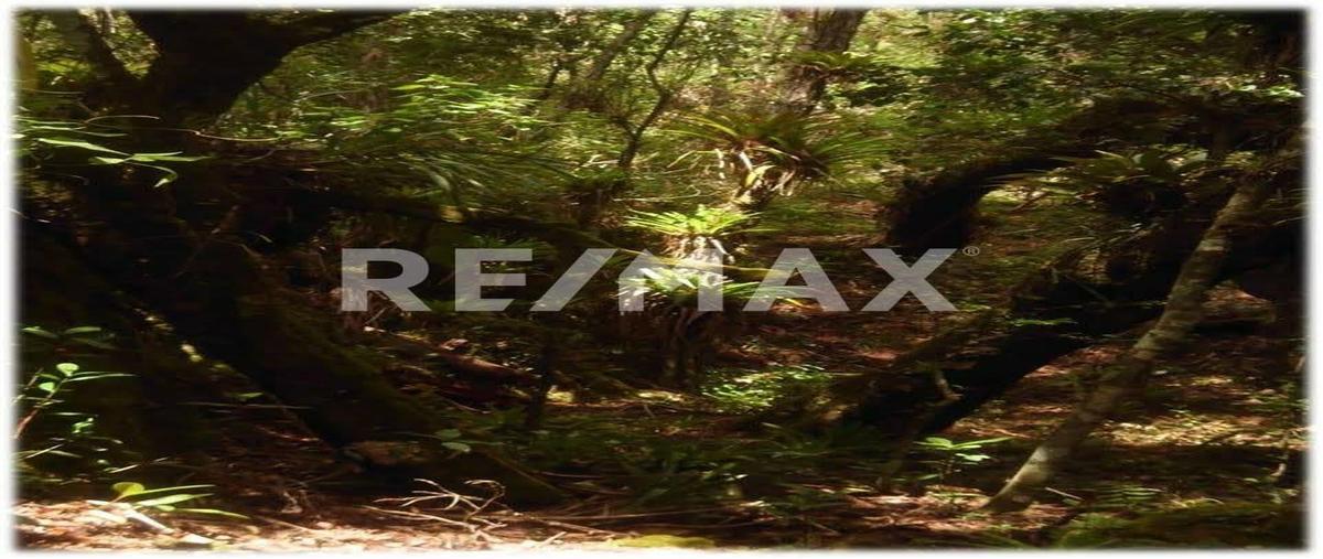 Foto de terreno comercial en venta en kilometro 5 , san vicente buena vista, comitán de domínguez, chiapas, 27941386 No. 04