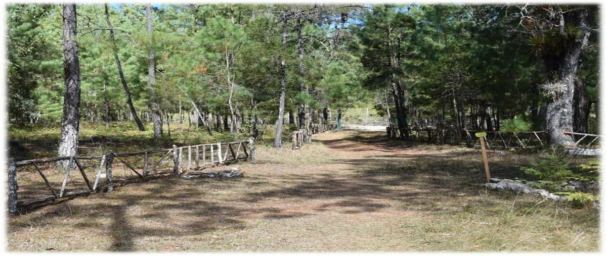 Foto de terreno comercial en venta en kilometro 5 , san vicente buena vista, comitán de domínguez, chiapas, 27941386 No. 05