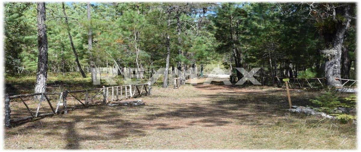 Foto de terreno comercial en venta en kilometro 5 , san vicente buena vista, comitán de domínguez, chiapas, 27941386 No. 05