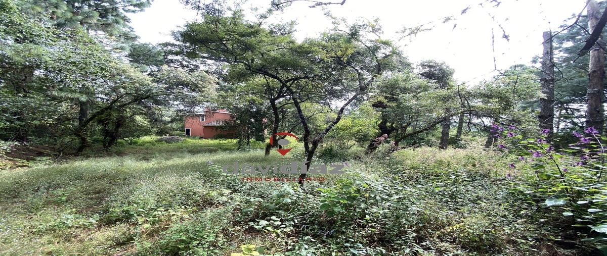 Foto de terreno habitacional en venta en kilometro 5.3 , san juan tlacotenco, tepoztlán, morelos, 30238691 No. 03