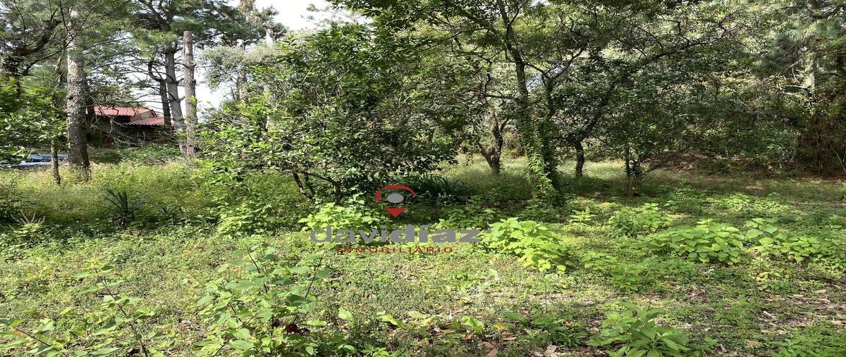 Foto de terreno habitacional en venta en kilometro 5.3 , san juan tlacotenco, tepoztlán, morelos, 30238691 No. 04