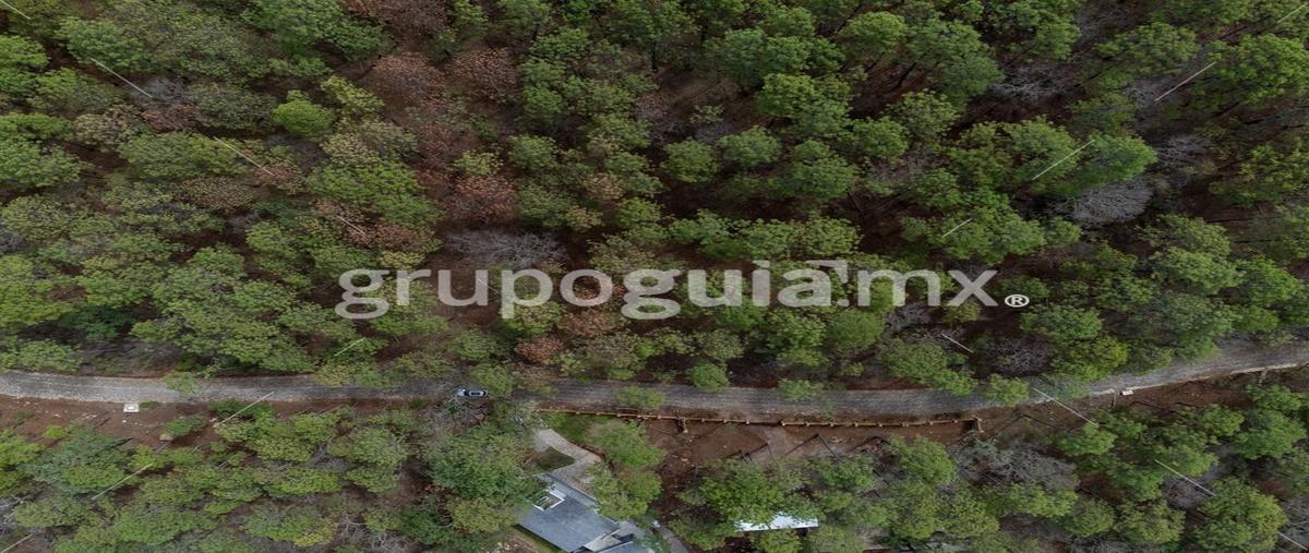 Foto de terreno habitacional en kilometro 5.5 carretera la frontera atemajac de brizuela 25, punta de agua, tapalpa, jalisco, 0 foto 02 Foto de terreno habitacional en venta en kilometro 5.5 carretera la frontera atemajac de brizuela 25, punta de agua, tapalpa, jalisco, 0 No. 02
