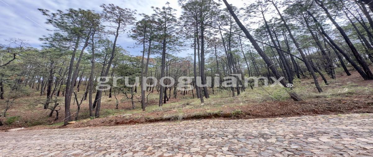 Foto de terreno habitacional en kilometro 5.5 carretera la frontera atemajac de brizuela 25, punta de agua, tapalpa, jalisco, 0 foto 05 Foto de terreno habitacional en venta en kilometro 5.5 carretera la frontera atemajac de brizuela 25, punta de agua, tapalpa, jalisco, 0 No. 05