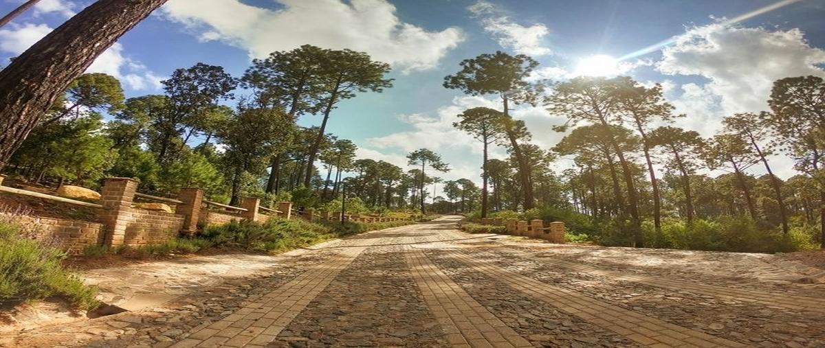 Foto de terreno habitacional en venta en kilometro 5.5 carretera la frontera atemajac de brizuela a 3km , mazamitla, mazamitla, jalisco, 30016872 No. 05