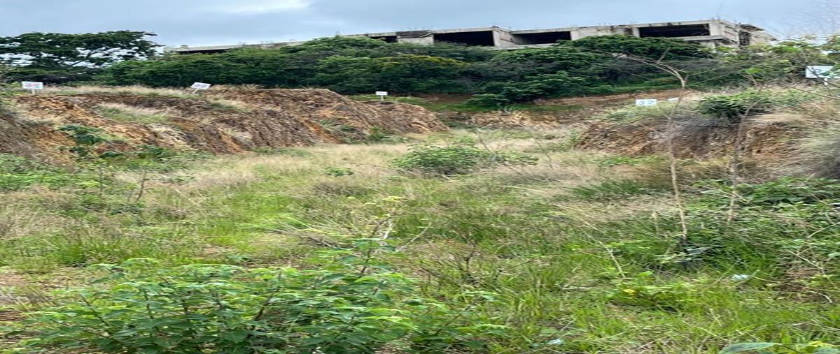 Foto de terreno habitacional en venta en kilometro 57.5 carretera chapala - jocotepec, , ajijic centro, chapala, jalisco, 0 No. 03