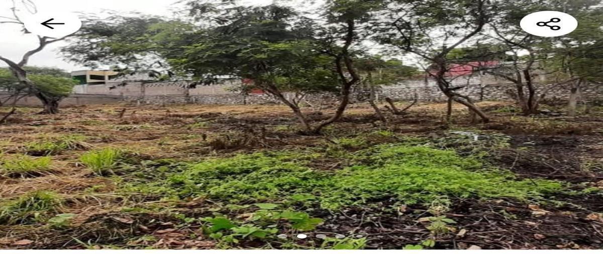 Foto de terreno habitacional en venta en kilometro 6.5 rivera las flechas , ribera las flechas, chiapa de corzo, chiapas, 27407681 No. 03