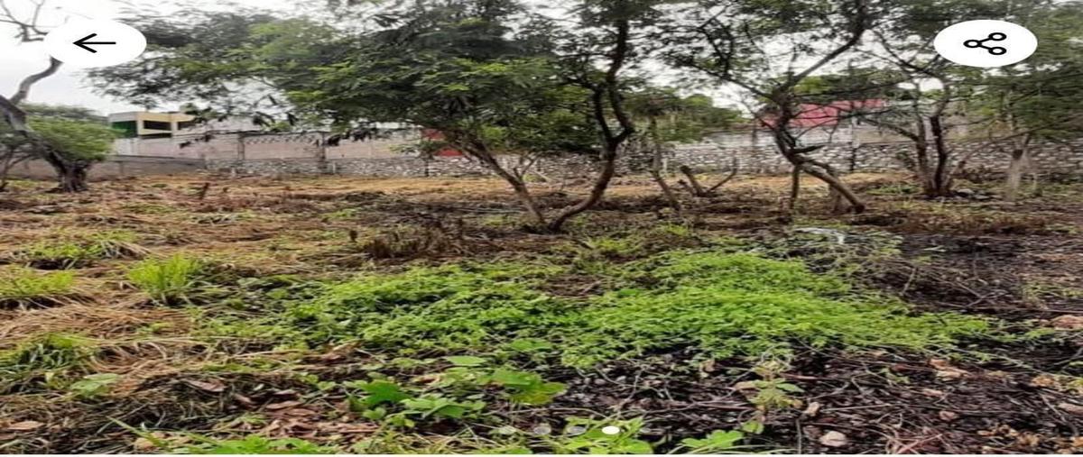 Foto de terreno habitacional en venta en kilometro 6.5 rivera las flechas , ribera las flechas, chiapa de corzo, chiapas, 27407681 No. 04