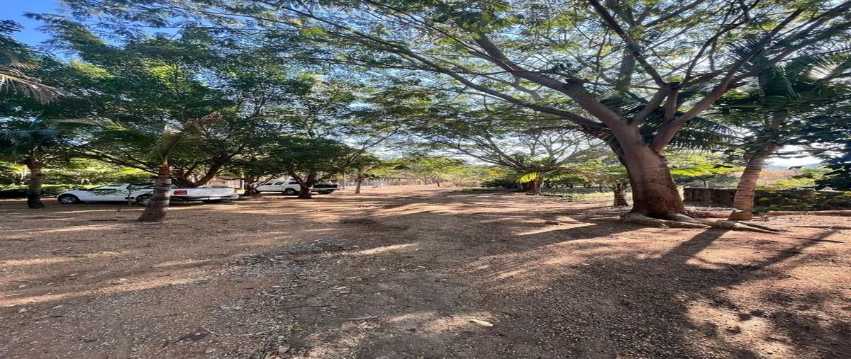 Foto de rancho en venta en kilometro 67 , revolución mexicana, villa corzo, chiapas, 27542384 No. 03