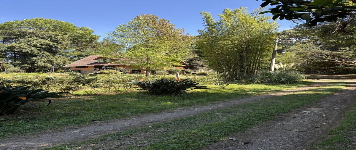 Foto de terreno habitacional en kilometro 7 carretera valle-tolucamesa de jaimesvalle de bravo , los saúcos, valle de bravo, méxico, 0 foto 02 Foto de terreno habitacional en venta en kilometro 7 carretera valle-tolucamesa de jaimesvalle de bravo , los saúcos, valle de bravo, méxico, 0 No. 02