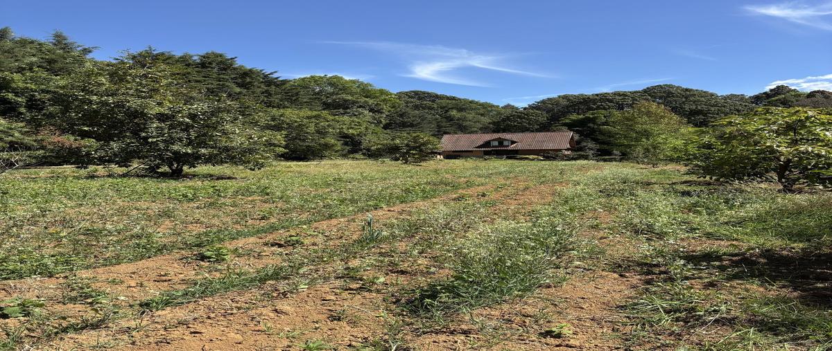 Foto de terreno habitacional en kilometro 7 carretera valle-tolucamesa de jaimesvalle de bravo , los saúcos, valle de bravo, méxico, 0 foto 03 Foto de terreno habitacional en venta en kilometro 7 carretera valle-tolucamesa de jaimesvalle de bravo , los saúcos, valle de bravo, méxico, 0 No. 03