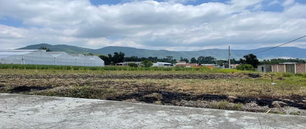 Foto de terreno habitacional en kilometro 7 , la ocotalera, tenancingo, méxico, 25424444 foto 01 Foto de terreno habitacional en venta en kilometro 7 , la ocotalera, tenancingo, méxico, 25424444 No. 01