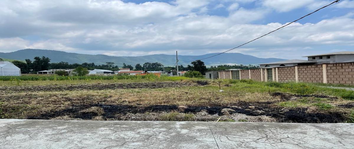 Foto de terreno habitacional en kilometro 7 , la ocotalera, tenancingo, méxico, 25424444 foto 03 Foto de terreno habitacional en venta en kilometro 7 , la ocotalera, tenancingo, méxico, 25424444 No. 03
