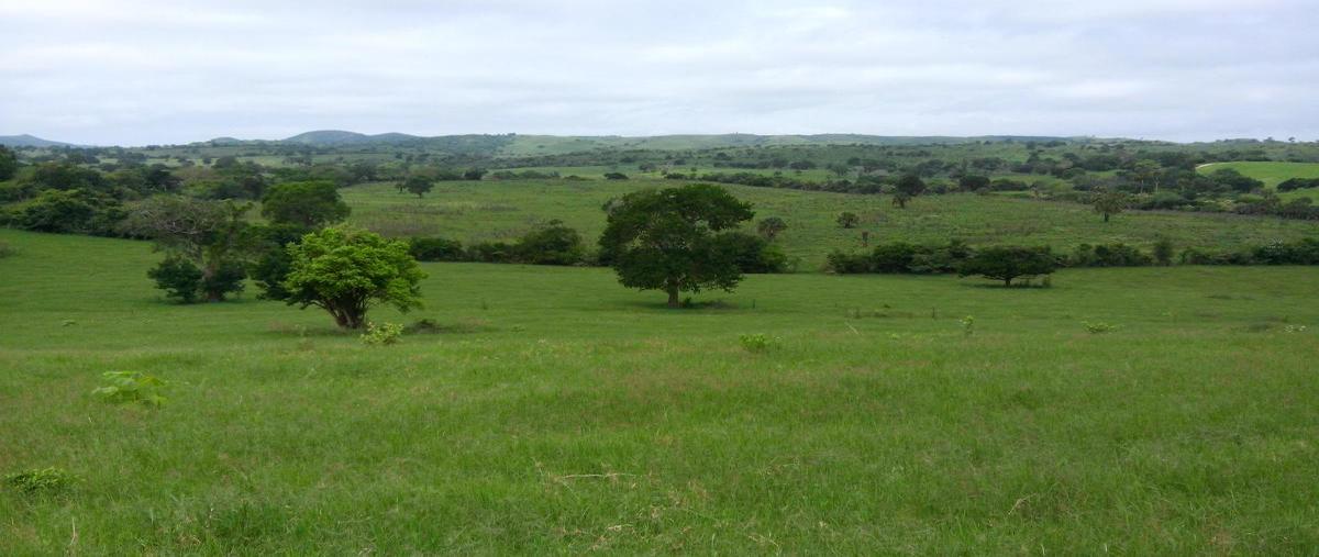 Foto de rancho en kilometro 72.2 carretera manuel - soto la marina , aldama, aldama, tamaulipas, 0 foto 02 Foto de rancho en venta en kilometro 72.2 carretera manuel - soto la marina , aldama, aldama, tamaulipas, 0 No. 02