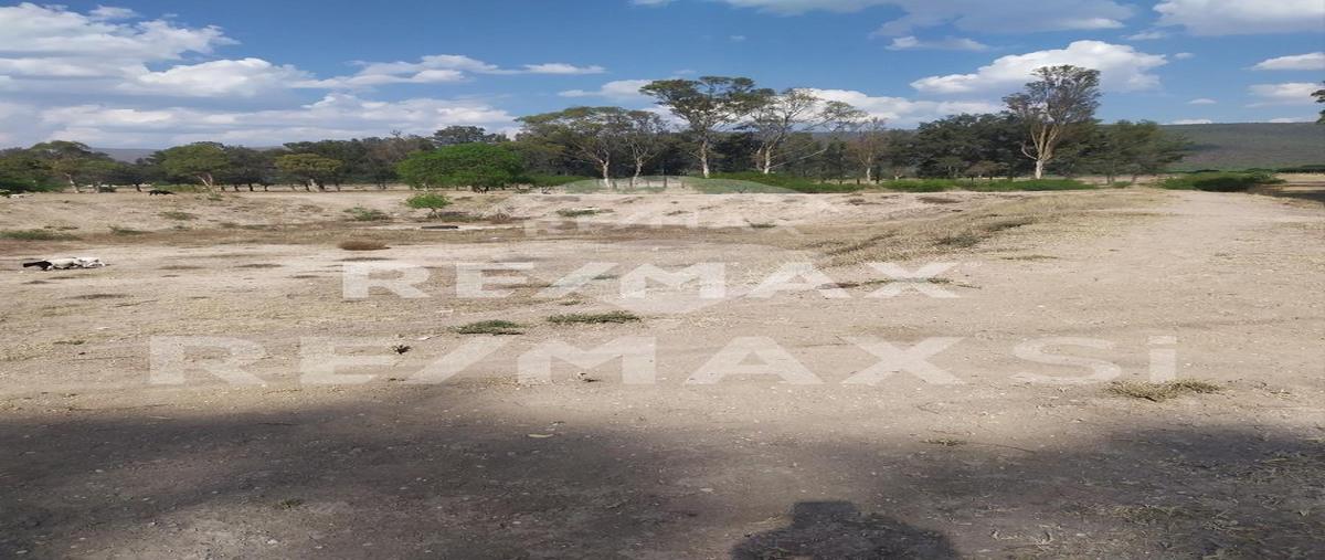 Foto de rancho en venta en kilometro 74 , san luis de la paz centro, san luis de la paz, guanajuato, 27602045 No. 04