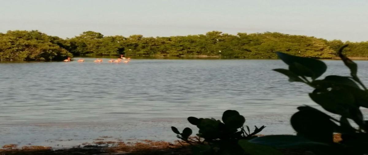 Foto de terreno habitacional en venta en kilometro 76 carretera santa clara a dzilam de bravo , dzilam de bravo, dzilam de bravo, yucatán, 26130951 No. 03